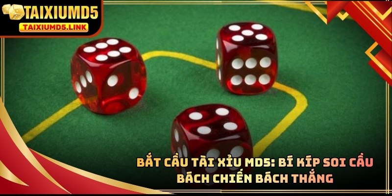 Bắt cầu Tài Xỉu MD5