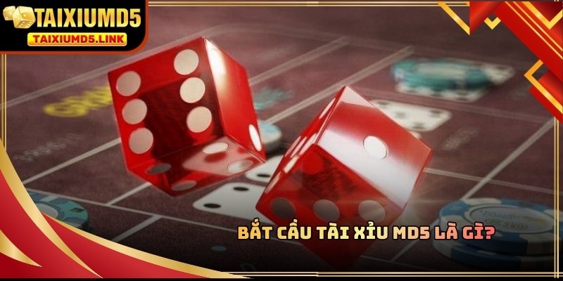 Người chơi có thể đưa ra dự đoán chính xác về kết quả khi bắt cầu tài xỉu