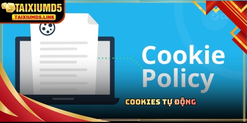 Chính sách bảo mật đảm bảo dữ liệu Cookies tự động dùng đúng mục đích