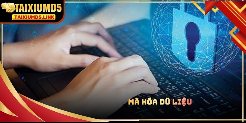Chính sách bảo mật tại Tài Xỉu MD5 được đảm bảo nhờ công nghệ mã hoá SSL