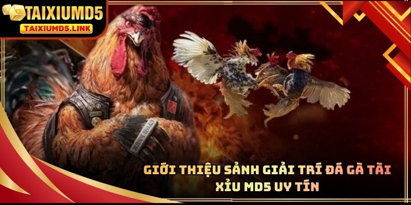 Hệ thống tái hiện lại toàn bộ bầu không khí náo nhiệt tại các trường gà quốc tế