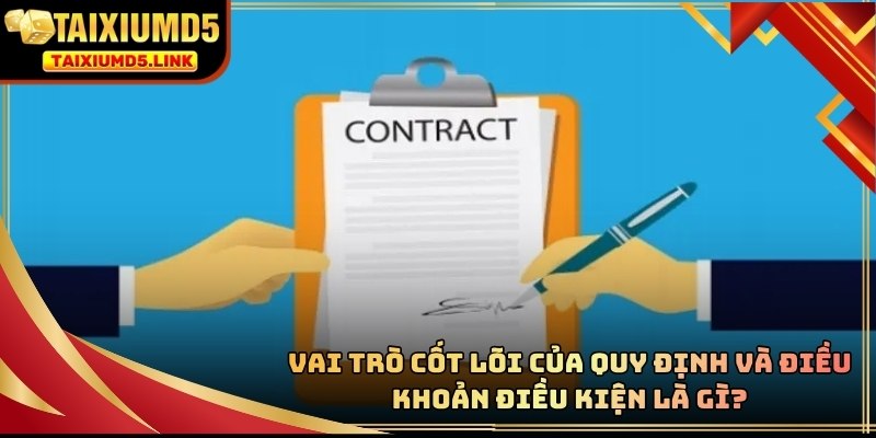Điều khoản điều kiện giữ vai trò định hướng toàn bộ dịch vụ trên hệ thống