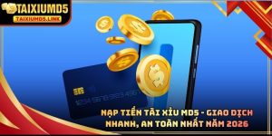 Nạp tiền Tài Xỉu MD5