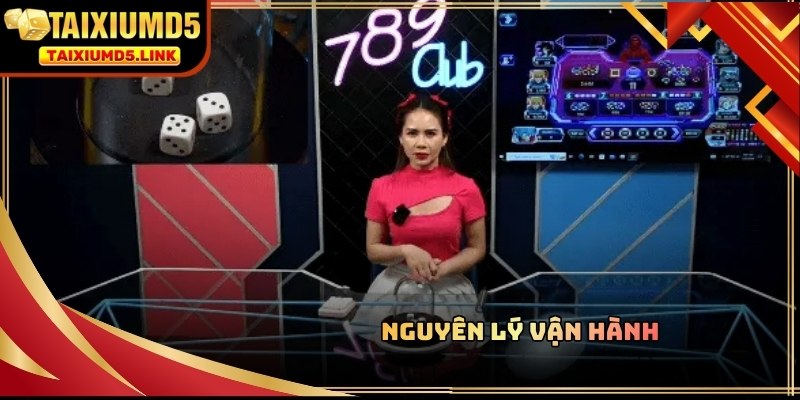 Hiểu rõ quy tắc Tài Xỉu MD5 789CLUB giúp anh em tham gia tự tin hơn