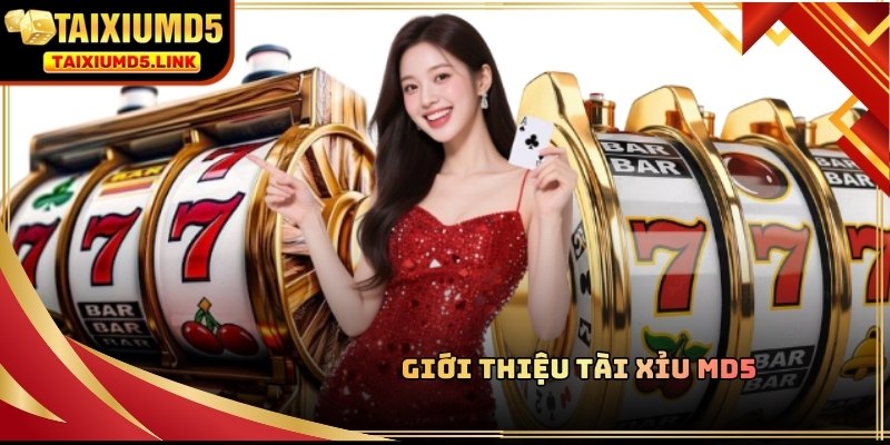Tài Xỉu MD5 là cái tên hot nhất 2026 nhờ uy tín và chất lượng dịch vụ