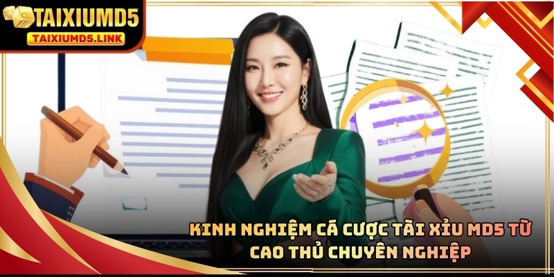 Áp dụng đúng phương pháp giúp bạn tối ưu hóa nguồn vốn cá cược
