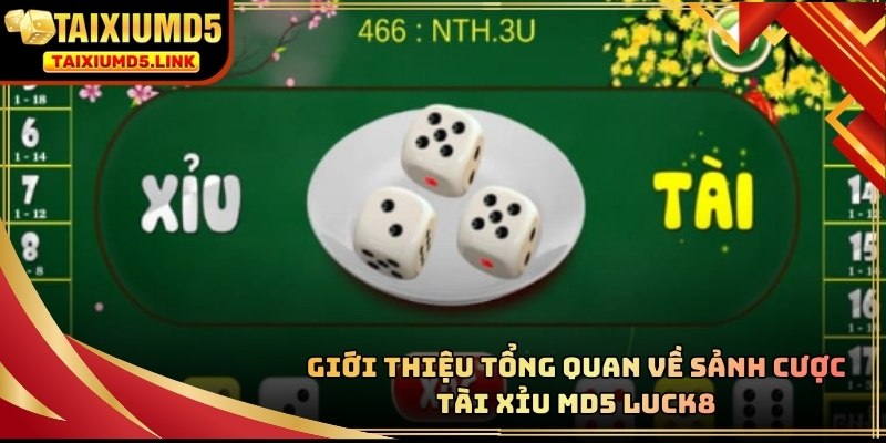 Trò chơi này hiện đang đứng đầu danh sách những lựa chọn ưu tiên