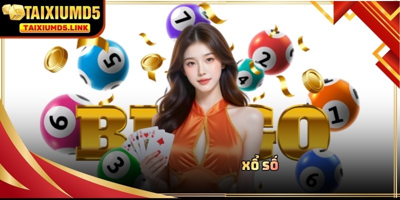 Tài Xỉu MD5 xổ số có nhiều hình thức phong phú và tỷ lệ thắng hấp dẫn