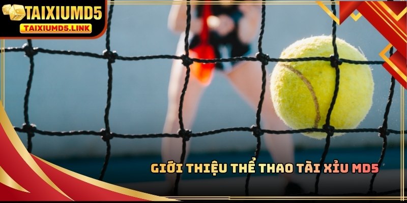 Thể thao Tài Xỉu MD5 là điểm đến quen thuộc với người chơi yêu thích cá cược online